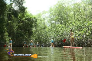 uvita-tree-sixty-costa-rica-sup-mangroves-sup-kayak-adventure-snorkel-ocean-osa-ballena-surfing-tour