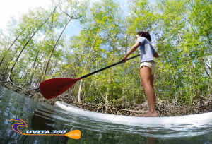 uvita-tree-sixty-costa-rica-sup-surf-sup-kayak-adventure-osa-ballena-surfing-mangrove-tour